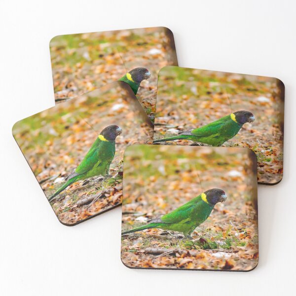 Item preview, An Australian Twenty Eight Parrot in Autumn designed and sold by FigTreeMagick.