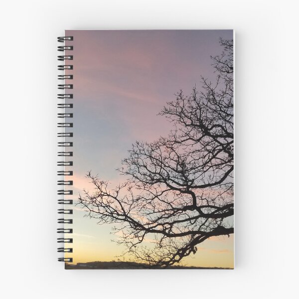 Item preview, Subtle savanna sunset - Pheasant Branch Conservancy designed and sold by rvjames.