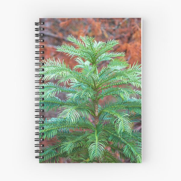 Item preview, The Wollemi Pine Tree; A Living Fossil designed and sold by FigTreeMagick.