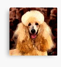 Tulip - Standard Poodle Canvas Print
