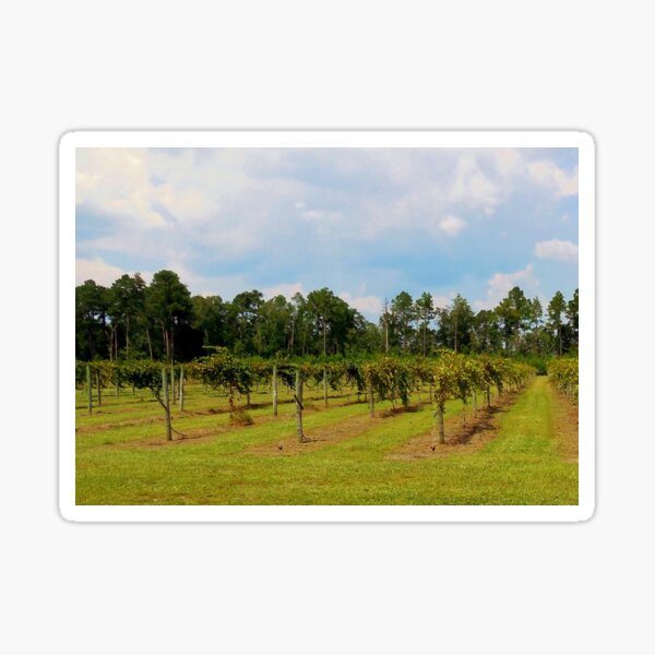 Item preview, Vineyard designed and sold by EloiseArt.
