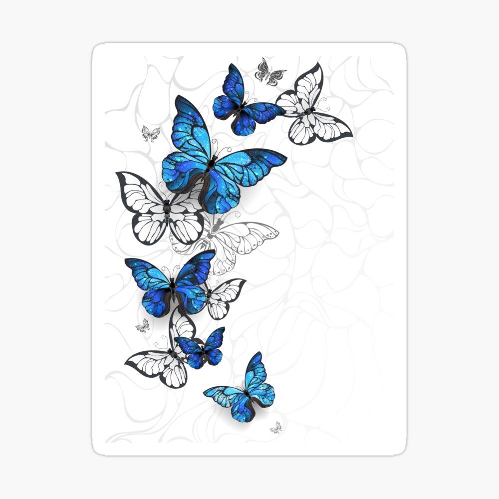 a flying butterfly illustration took from side. white background