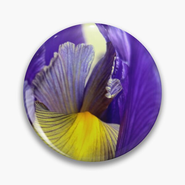 Item preview, Iris designed and sold by Seashorepics.