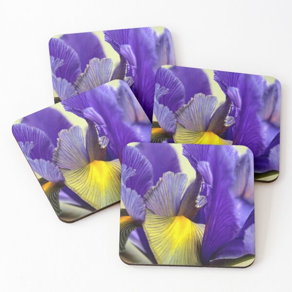 Item preview, Iris designed and sold by Seashorepics.
