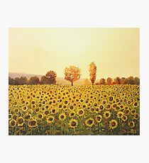 Memories of The Summer Photographic Print