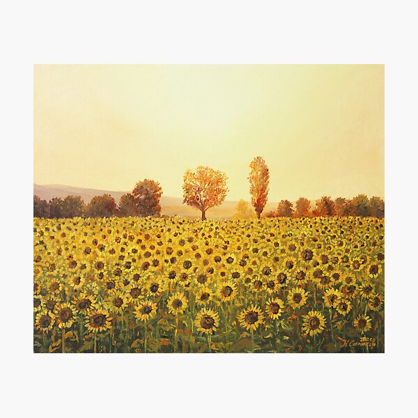 Memories of The Summer Photographic Print