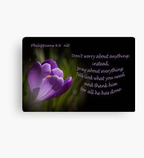Phillipians 4:16 Canvas Print