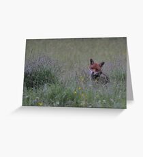 Fox in the Rain Greeting Card