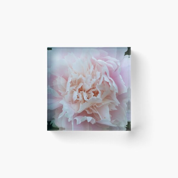 Item preview, Pretty peony designed and sold by BC Family.