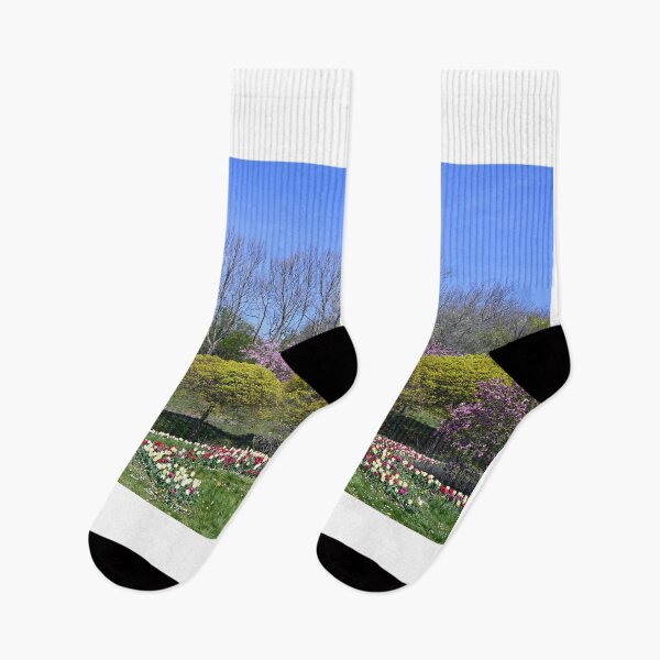 Item preview, spring flowers and trees in Kurpark Oberlaa Vienna  designed and sold by goceris.