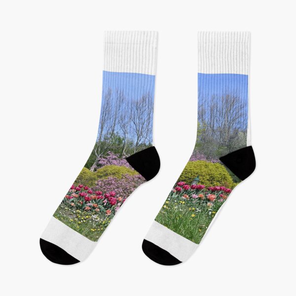 Item preview, spring flowers in Kurpark Oberlaa Vienna  designed and sold by goceris.
