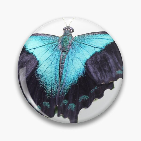 Item preview, Blue butterfly. designed and sold by Mickpew.