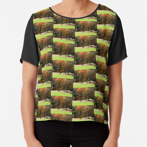 Autumn Foliage Cows In Field Chiffon Top