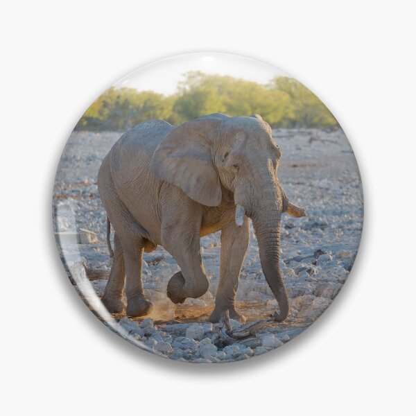 Item preview, African Bush Elephant (Loxodonta Africana) designed and sold by Yair Karelic.