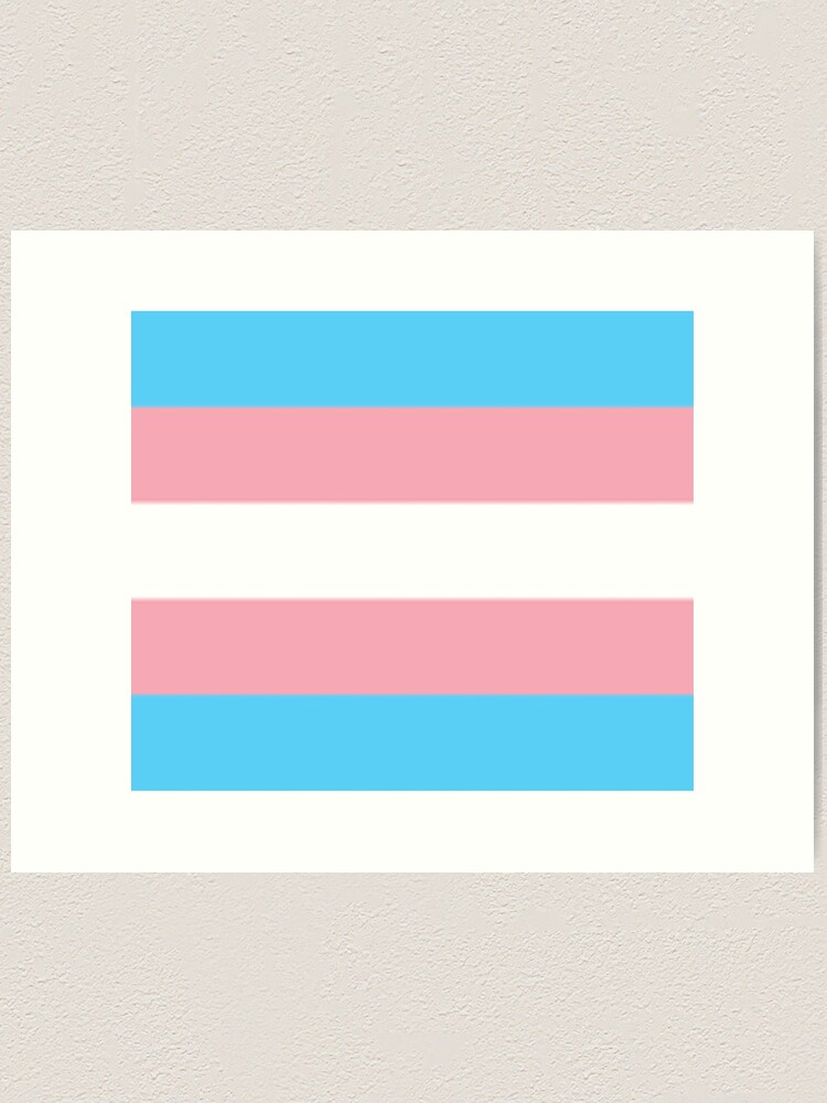 Trans Pride Flag KY Sticker – KY for KY Store