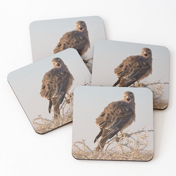 Item preview, Brown Snake Eagle (Circaetus Cinereus) designed and sold by Yair Karelic.