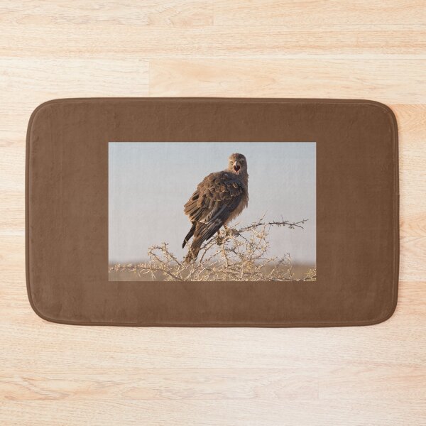 Item preview, Brown Snake Eagle (Circaetus Cinereus) designed and sold by Yair Karelic.