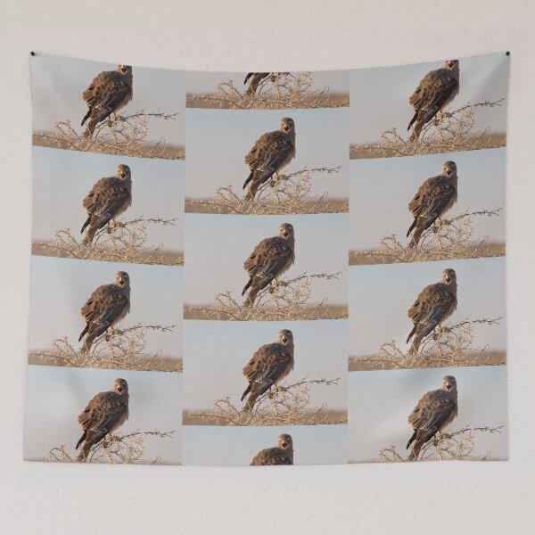 Item preview, Brown Snake Eagle (Circaetus Cinereus) designed and sold by Yair Karelic.