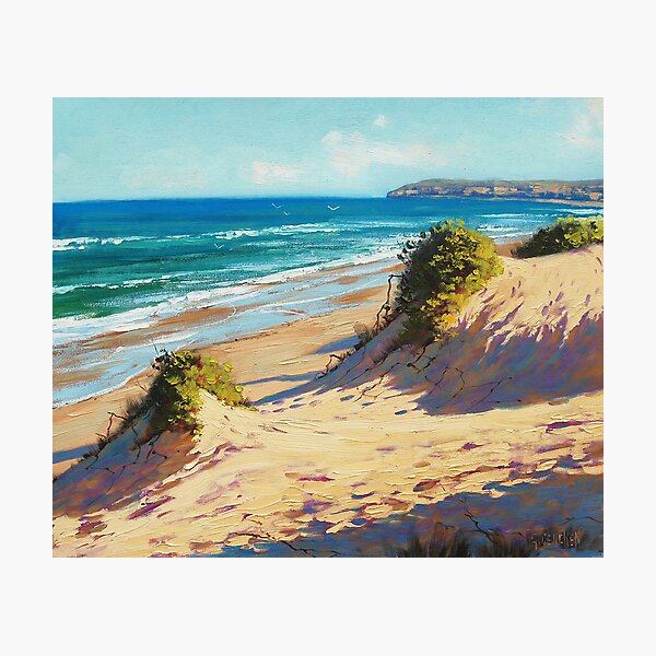 Central Coast Dunes Photographic Print