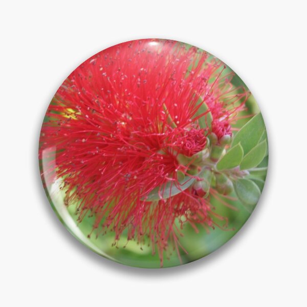 Item preview, Beautiful Bottle Brush Flower With Garden Background designed and sold by taiche.