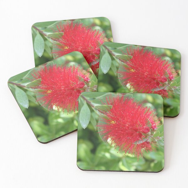 Item preview, Beautiful Bottle Brush Flower With Garden Background designed and sold by taiche.