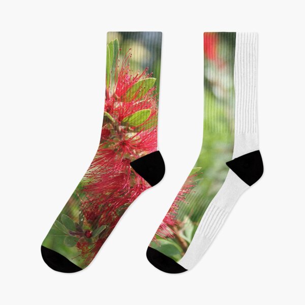 Item preview, Calliandra Haematocephala Red Powderpuff designed and sold by taiche.