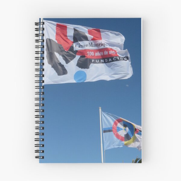 Item preview, Cesar Manrique Centenary Flag designed and sold by PPFImages.