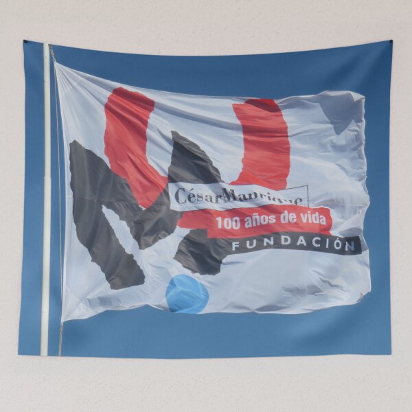 Item preview, Cesar Manrique Centenary Flag designed and sold by PPFImages.