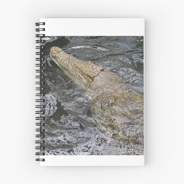 Item preview, Crocodile designed and sold by aquabella.