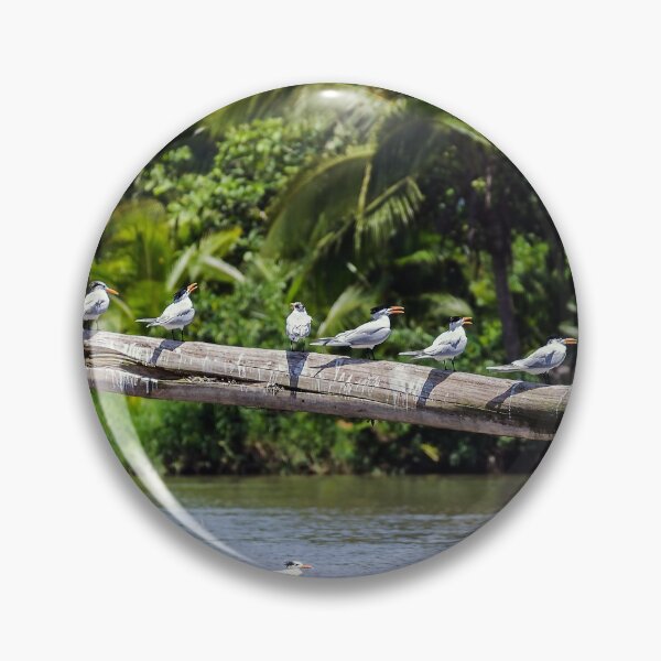 Item preview, Costa Rica - Tortuguero designed and sold by Ulysse Pixel.