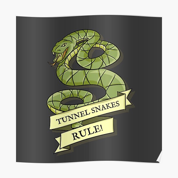 fallout new vegas tunnel snakes