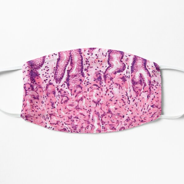 Stomach Histology Flat Mask