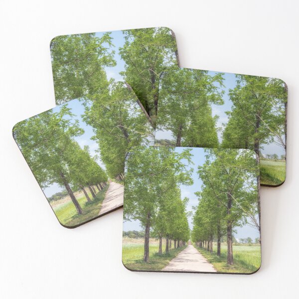 Item preview, Metasequoia Road in Gangneung designed and sold by aaronchoi.