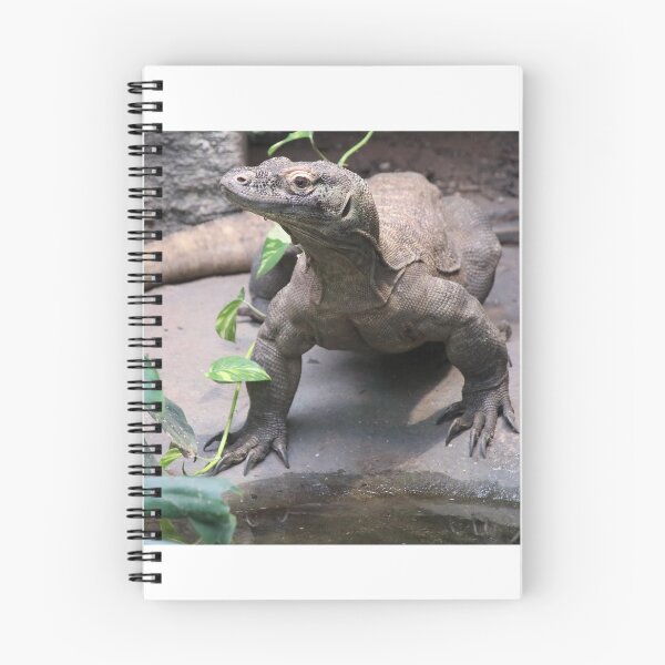 Item preview, Komodo Dragon designed and sold by aquabella.