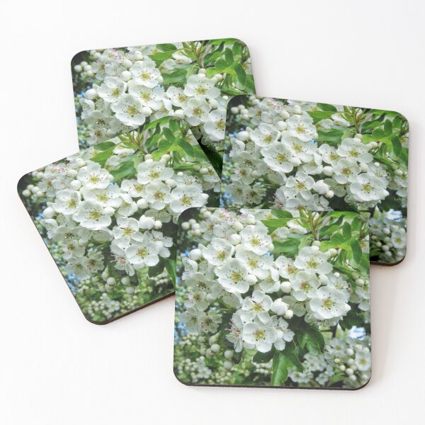 Item preview, Flowers in May designed and sold by Kirstynmichelle.