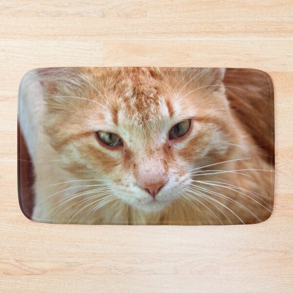 Item preview, Ginger Tom Cat Portrait designed and sold by taiche.