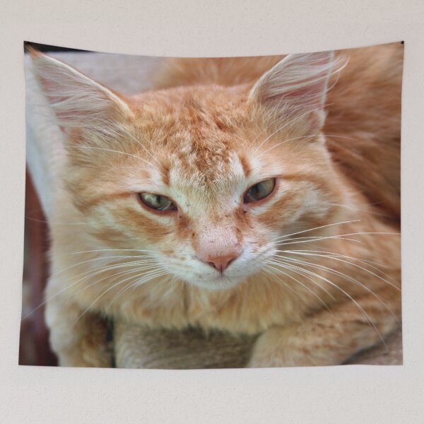 Item preview, Ginger Tom Cat Portrait designed and sold by taiche.
