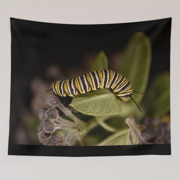 Item preview, The Intriguing 'Monarch' Caterpillar designed and sold by imaginethis.