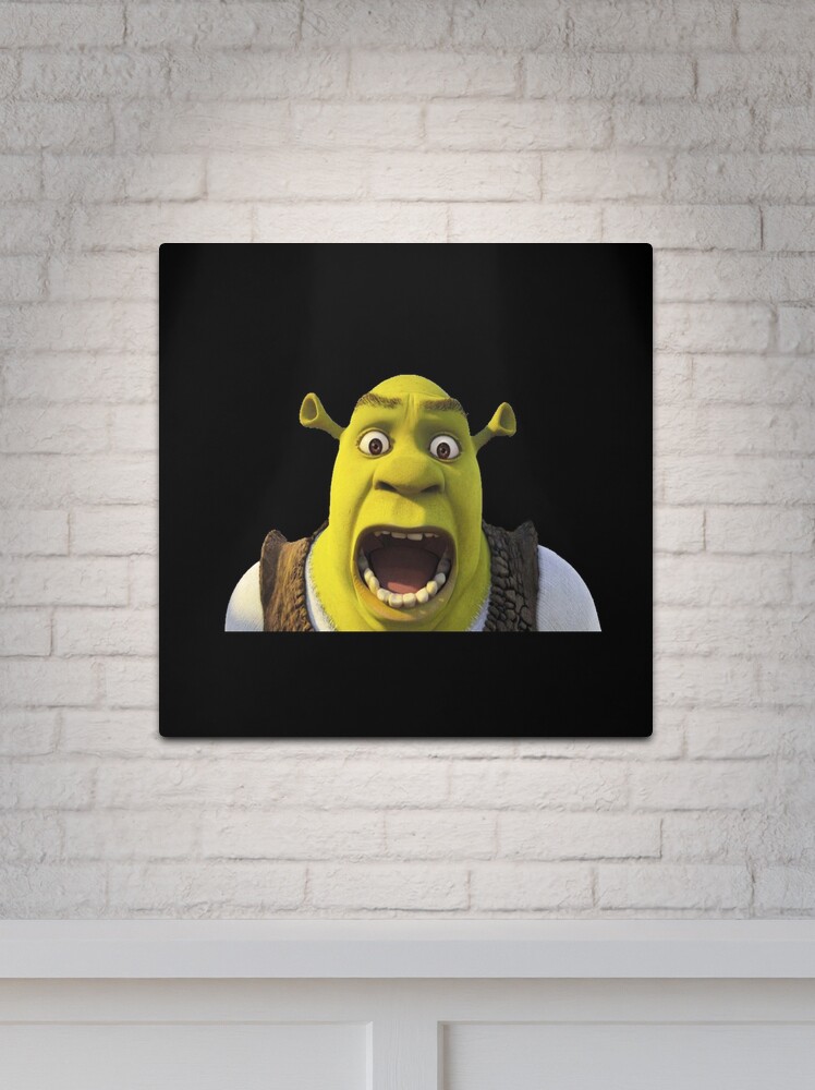 Screaming Shrek  Metal Print for Sale by SunnyMoonCrafts