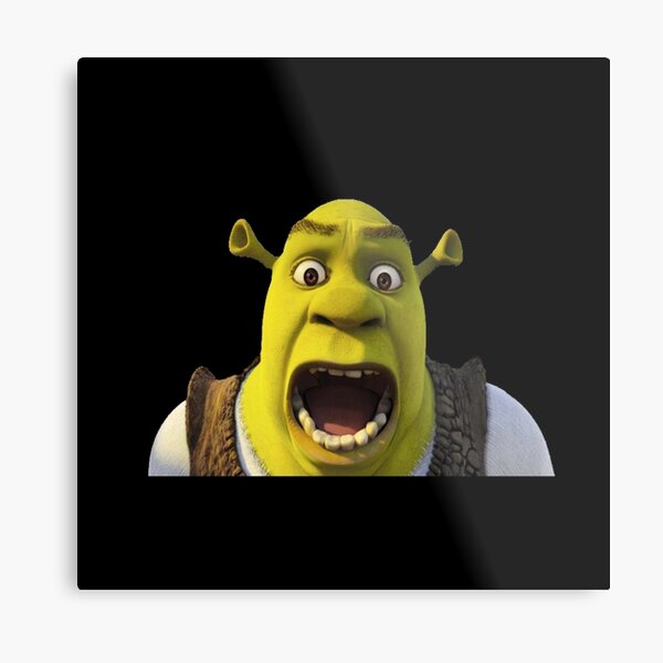 Screaming Shrek  Metal Print for Sale by SunnyMoonCrafts