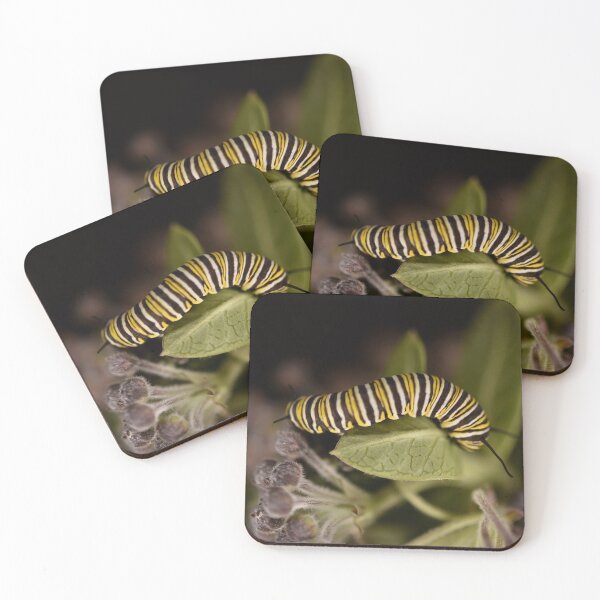Item preview, The Intriguing 'Monarch' Caterpillar designed and sold by imaginethis.