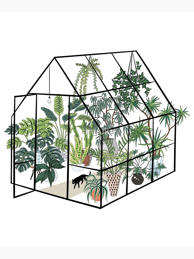 greenhouse with plants by anyuka
