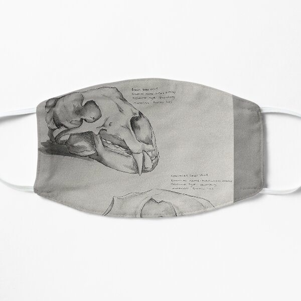 Bears Mask