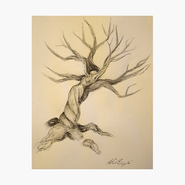 Daphne Photographic Print