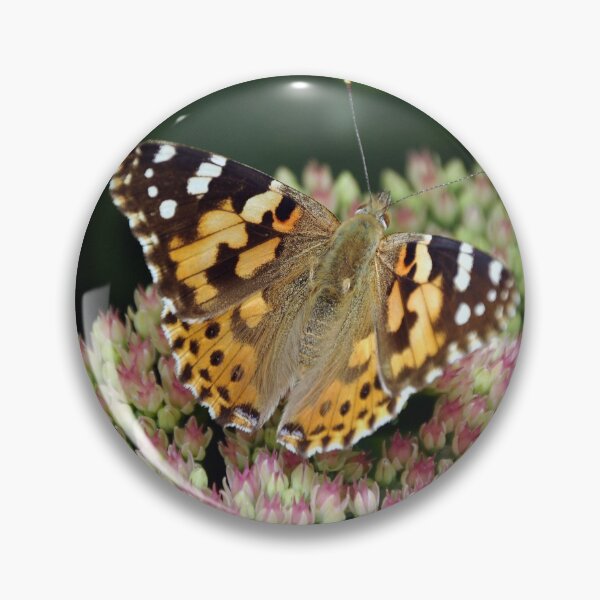 Item preview, Painted Lady  designed and sold by Chris Monks.