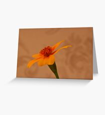Tagettes Marigold Greeting Card