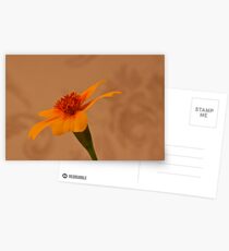 Tagettes Marigold Postcards