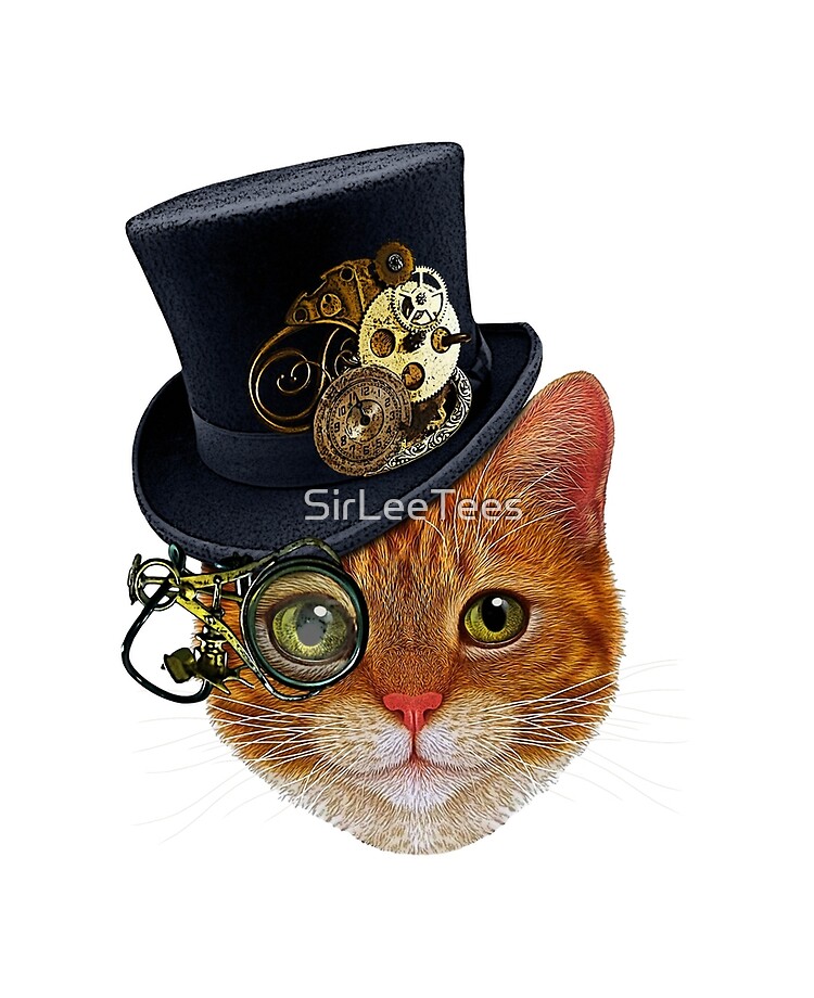 Coque Et Skin Adhesive Ipad Chat Orange Avec Chapeau Steampunk Et Monocle Par Sirleetees Redbubble