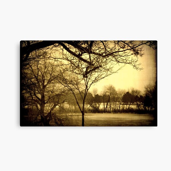 Milwaukee Lagoon © Canvas Print