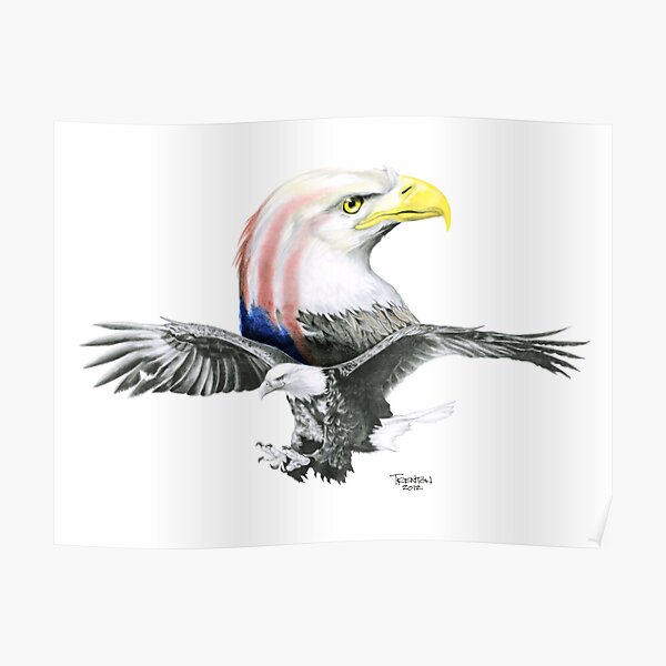 Bald & Bold Eagle Poster